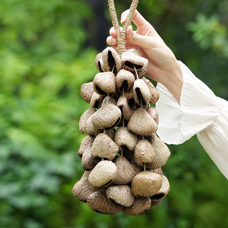 Pangi Nut Handbell