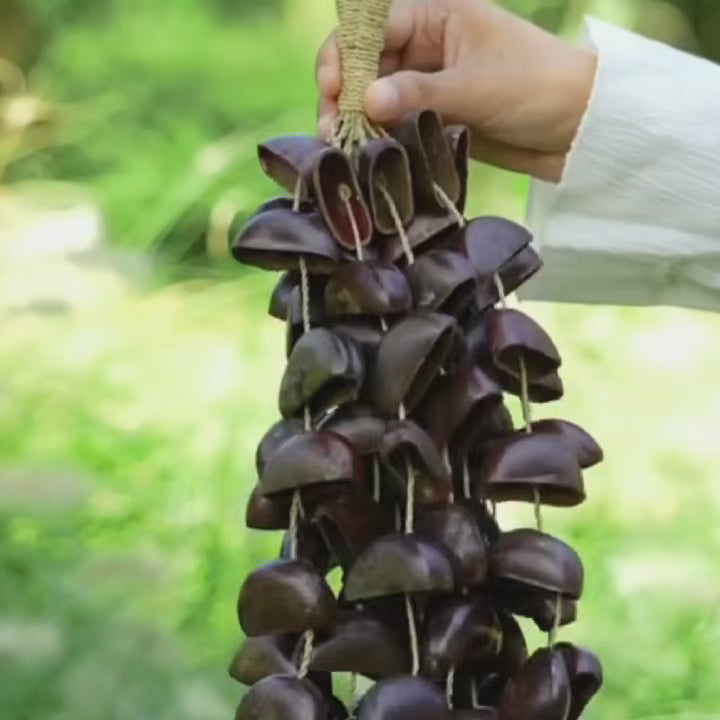 Juju Nut Handbell