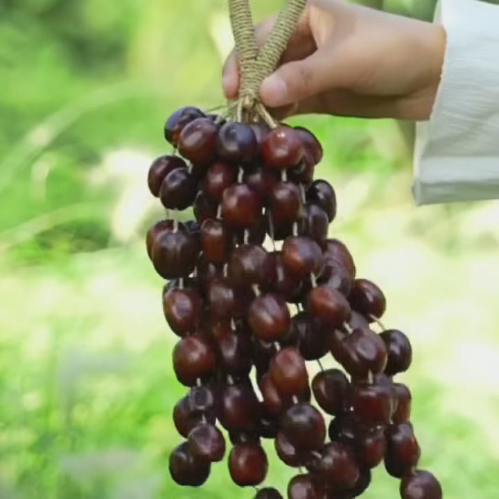 Pala Nut Handbell