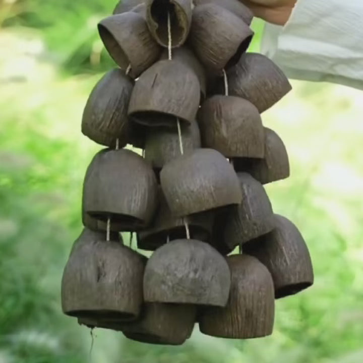Salin Nut Handbell