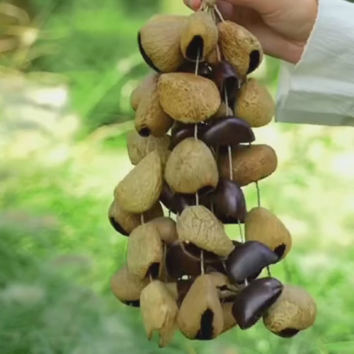 Three-Nut Blend Handbell